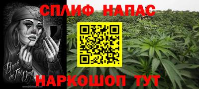 СК Будённовск