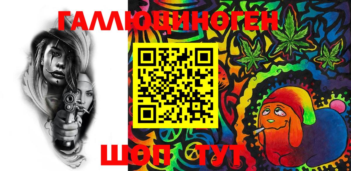 где купить   Вход с VPN  Темрюк  Псилоцибиновые грибы Psilocybe 